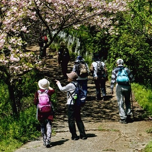 Hiking