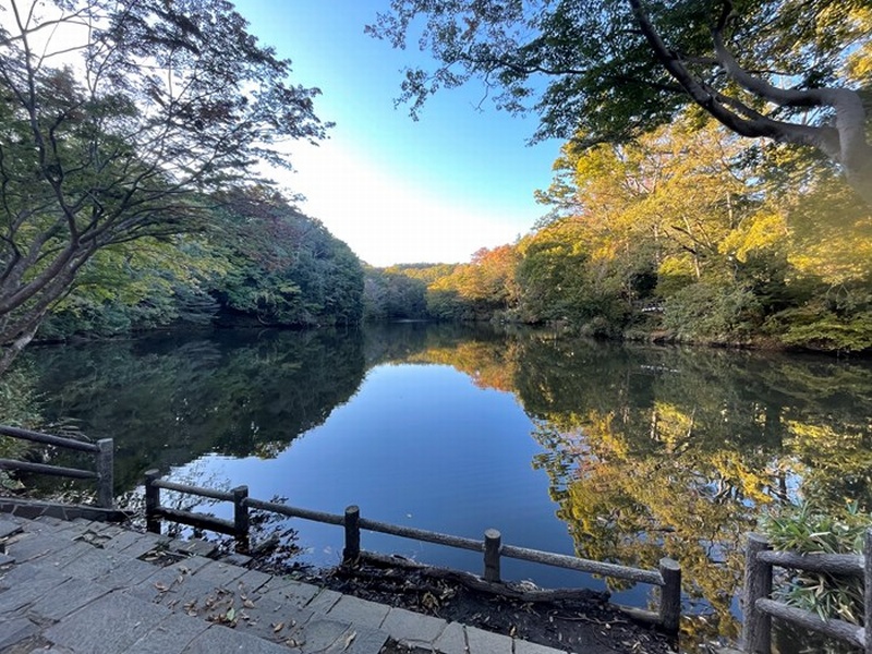 はだの旬だより-秦野市観光協会 | はだの旬だより-秦野市観光協会