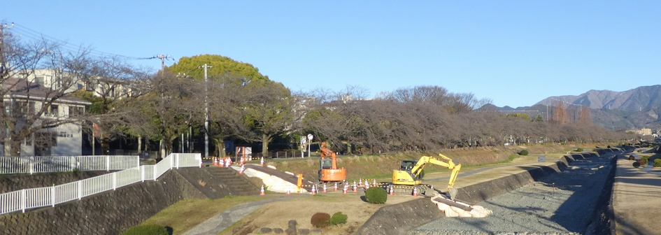 富士見大橋から見たの桜01