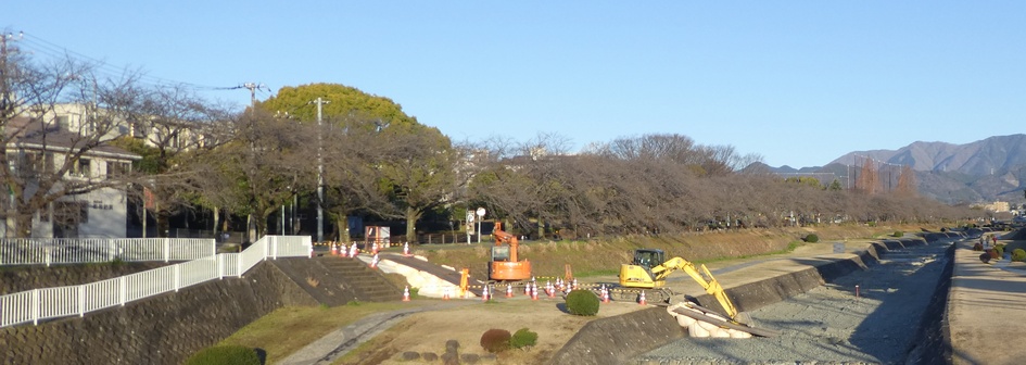 富士見大橋から見たの桜01