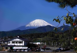 田原ふるさと公園から見た富士山