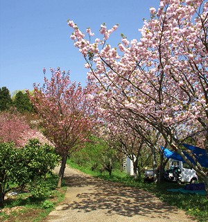 d̓Eݎ蕗i