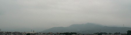 19N831̕\Ô܂Ȃ