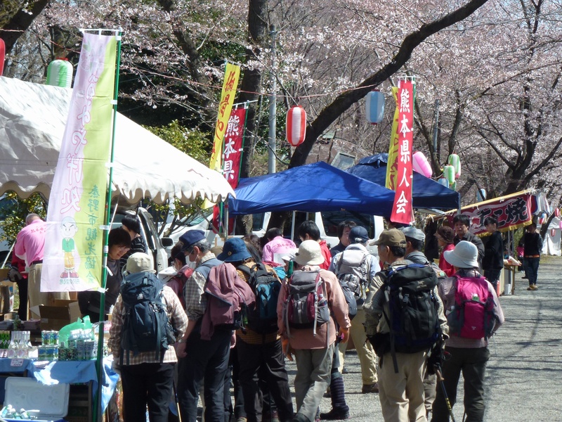 秦野桜まつり-弘法山公園会場