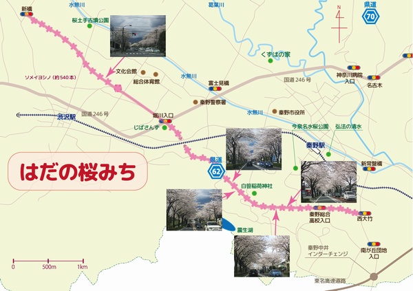 はだの桜みち簡単な図
