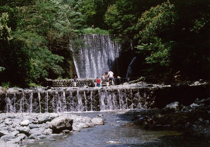 入選「水と緑と青空」