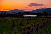 2019photocon19.jpg