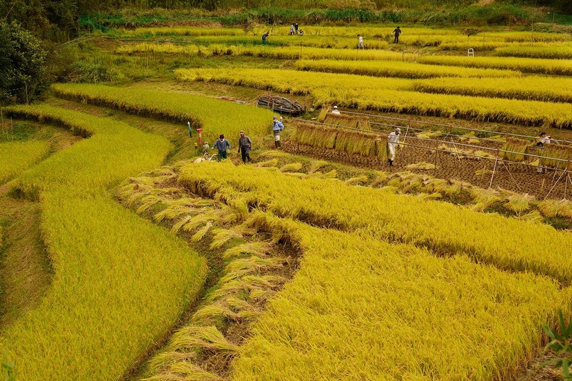 丹沢山岳賞